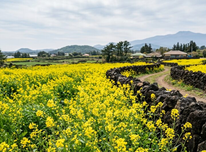 봄이 찾아온 석담 아래 풍경