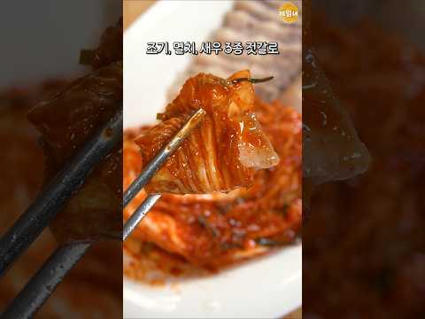 김치유목민 이걸로 정착했습니다
