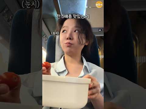 기차에서 먹을 간식도시락