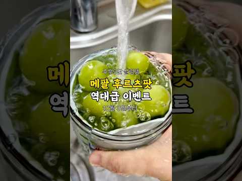 후르츠팟 역대급 가격 ??