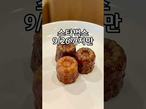 스타벅스 작아도 너무 작잖아 ??
