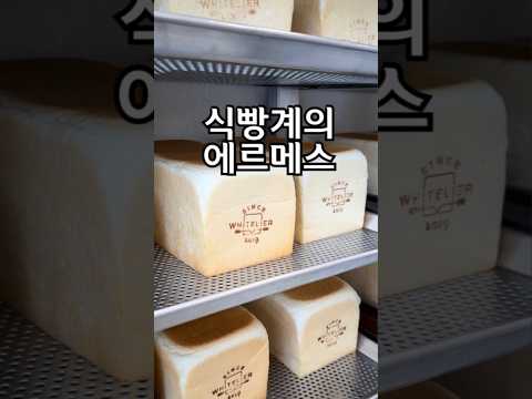 식빵계의 ?? 진한 버터 풍미와 쫀쫀하고 묵직한 ??