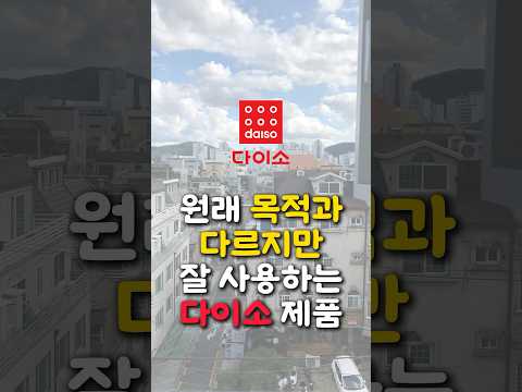 목적과 다르게 잘 쓰는 다이소 제품 2개 추천