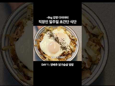 직장인 다이어터 일주일 초간단 식단 모음