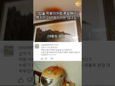일주일동안 강제 카레