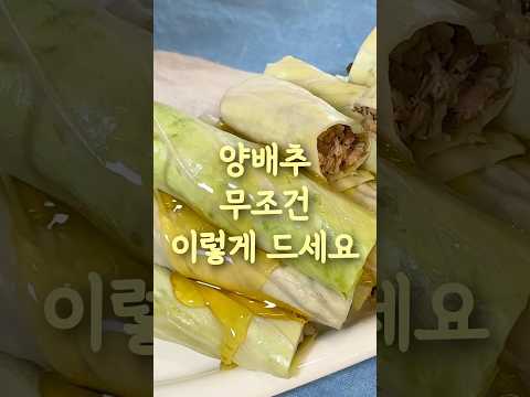 모르면 절대 안되는 양배추 레시피