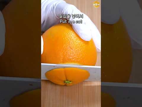 면역력 올리기