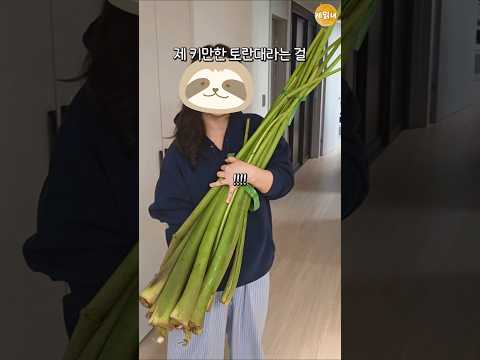 받아본 선물중에 제일 큼(물리)